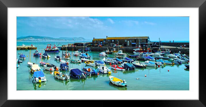 Lyme Regis Harbour Panorama Framed Mounted Print by Alison Chambers