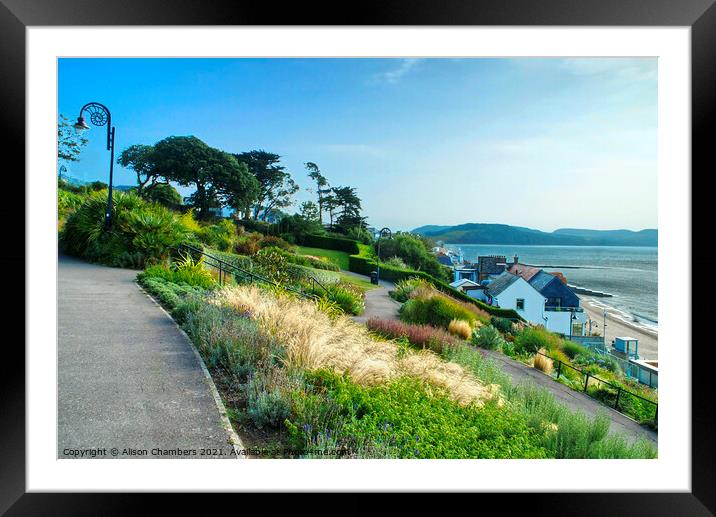 Lyme Regis Langmoor Gardens  Framed Mounted Print by Alison Chambers