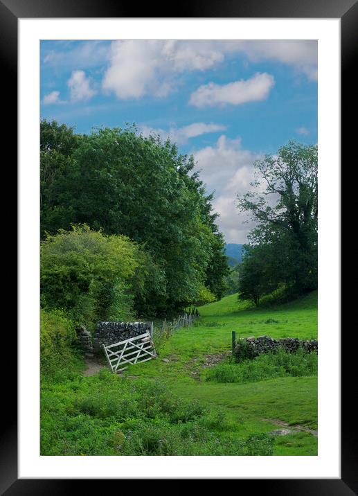 Lathkill Dale Framed Mounted Print by Alison Chambers