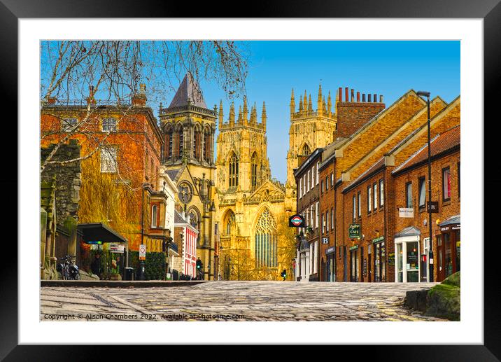 York Minster And Surrounding Buildings Framed Mounted Print by Alison Chambers
