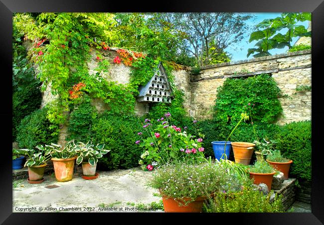 A Courtyard Garden Framed Print by Alison Chambers