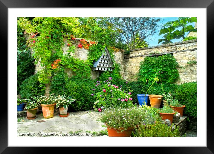 A Courtyard Garden Framed Mounted Print by Alison Chambers