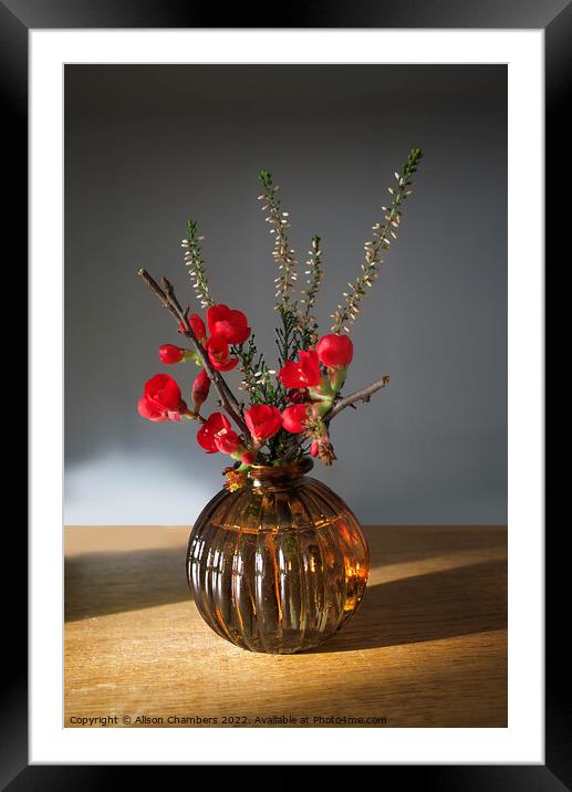 Winter Flower Arrangement  Framed Mounted Print by Alison Chambers