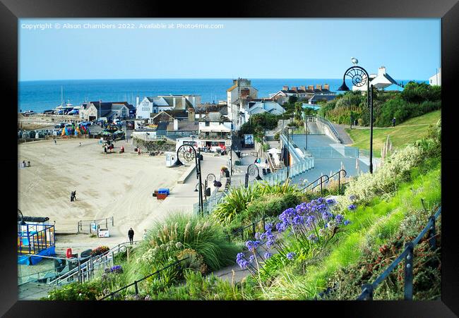 Lyme Regis  Framed Print by Alison Chambers