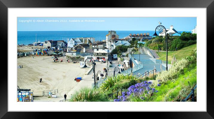 View Of Lyme Regis Panorama, Dorset   Framed Mounted Print by Alison Chambers