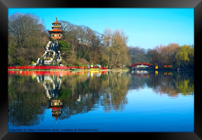 Peasholm Park Scarborough  Framed Print by Alison Chambers