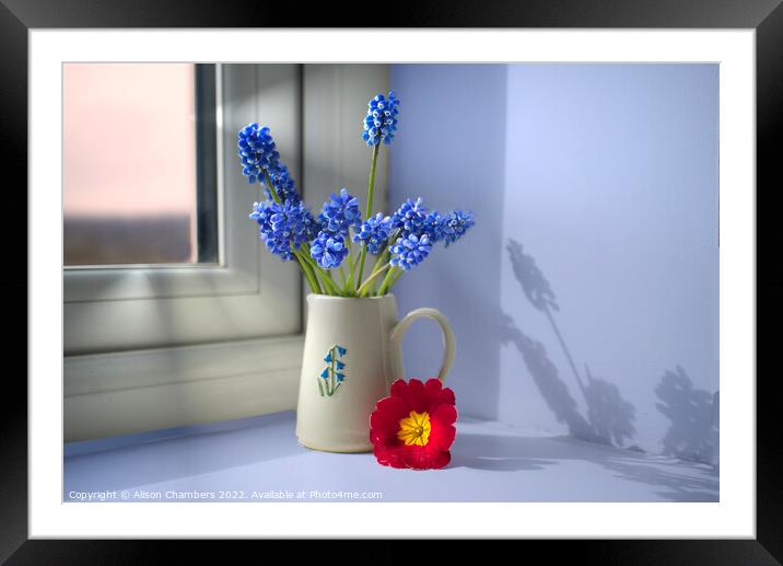 Pretty Spring Flowers Framed Mounted Print by Alison Chambers