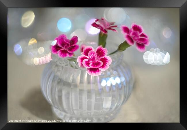 Dianthus In Glass Votive Framed Print by Alison Chambers