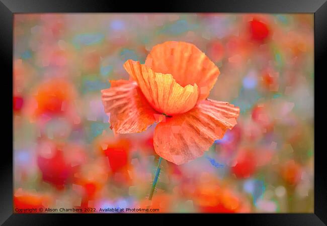 Poppy Flower Impressions Framed Print by Alison Chambers