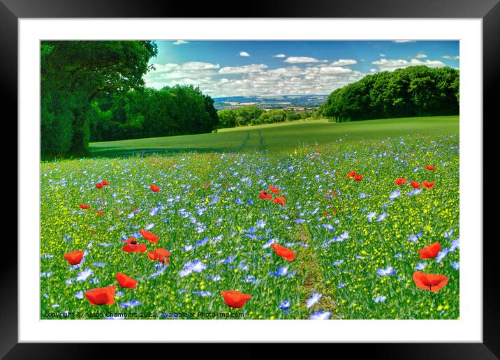 Poppies and Cornflowers Framed Mounted Print by Alison Chambers