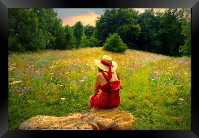 Summer Days in Huddersfield Wildflower Meadow Framed Print by Alison Chambers