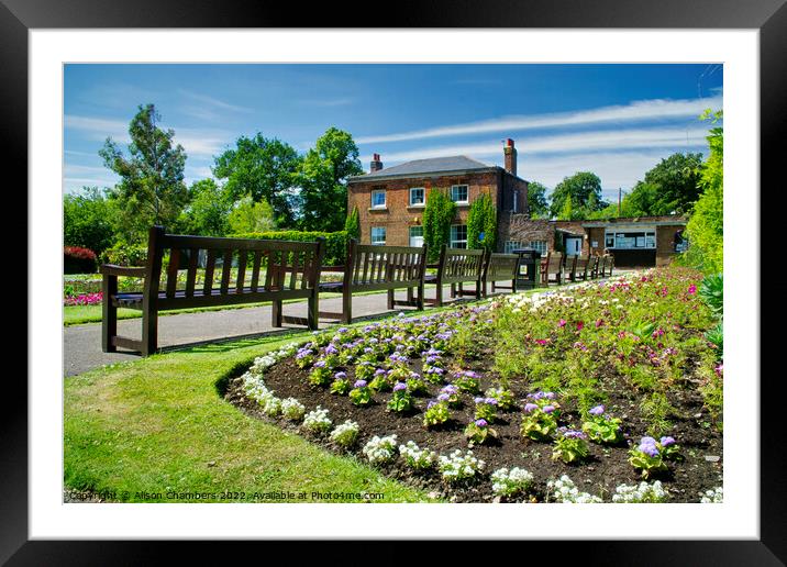 Thornes Park Formal Garden In Wakefield  Framed Mounted Print by Alison Chambers