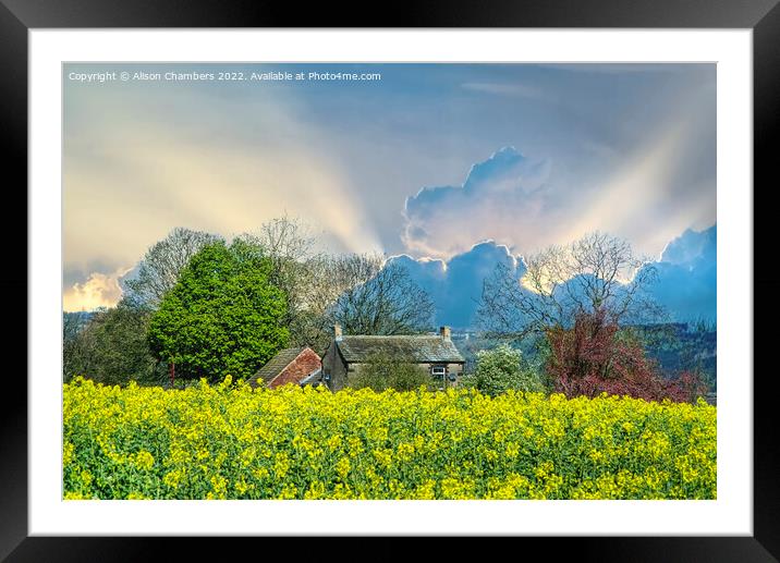 Golden Fields and Silver Linings Framed Mounted Print by Alison Chambers