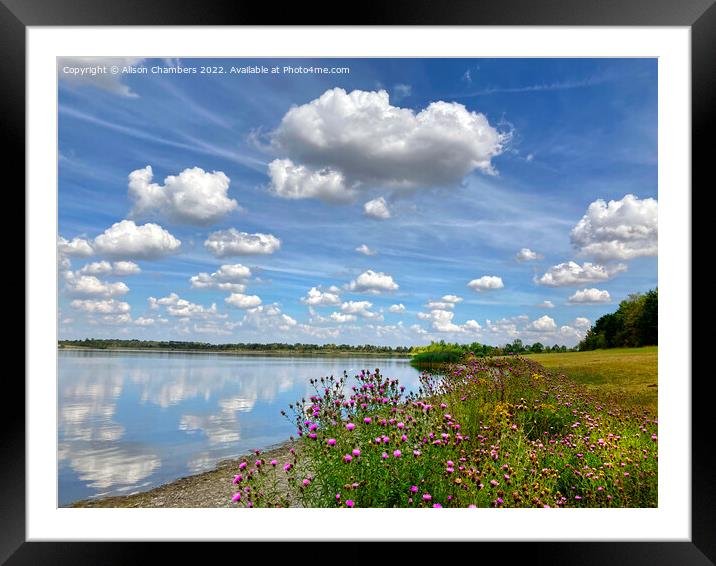 Anglers Country Park Framed Mounted Print by Alison Chambers