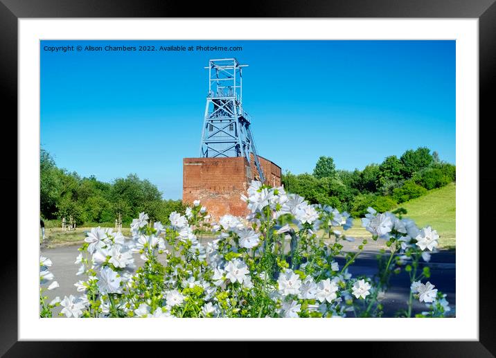 Barnsley Main Colliery  Framed Mounted Print by Alison Chambers