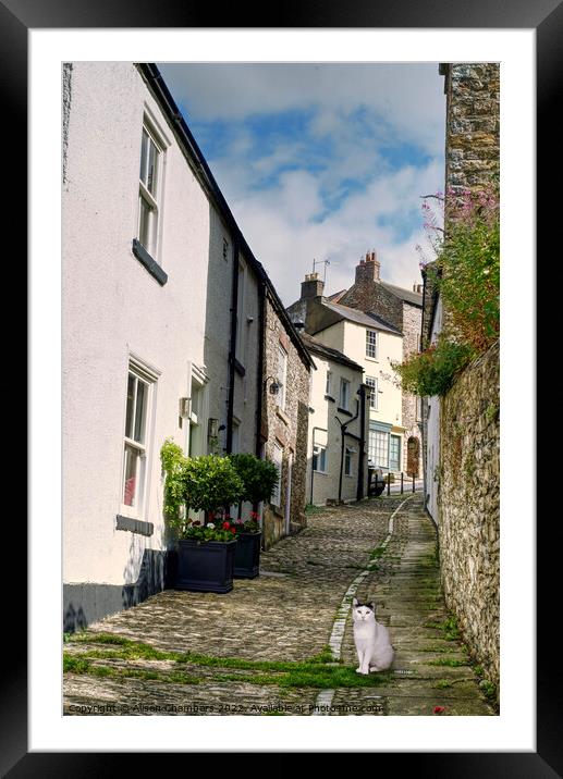 Richmond Yorkshire Alley Cat Framed Mounted Print by Alison Chambers