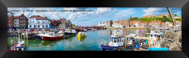 Whitby Harbour Panorama  Framed Print by Alison Chambers