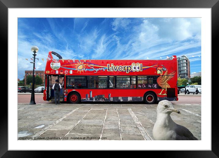Liverpool Bus and Photobomber Framed Mounted Print by Alison Chambers