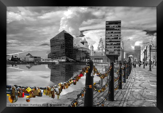 Canning Dock Liverpool  Framed Print by Alison Chambers