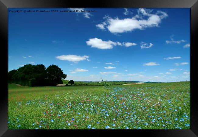 Summer Flower Meadow Framed Print by Alison Chambers