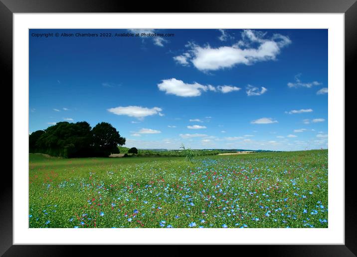 Summer Flower Meadow Framed Mounted Print by Alison Chambers