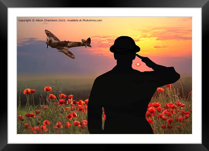 Lest We Forget - We Salute You Framed Mounted Print by Alison Chambers