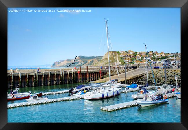 West Bay Harbour Dorset Framed Print by Alison Chambers