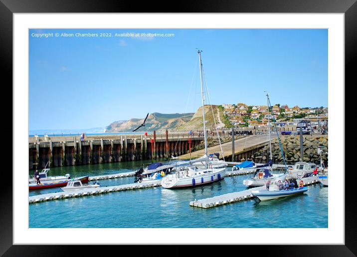 West Bay Harbour Dorset Framed Mounted Print by Alison Chambers