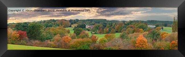Cannon Hall  Panorama  Framed Print by Alison Chambers