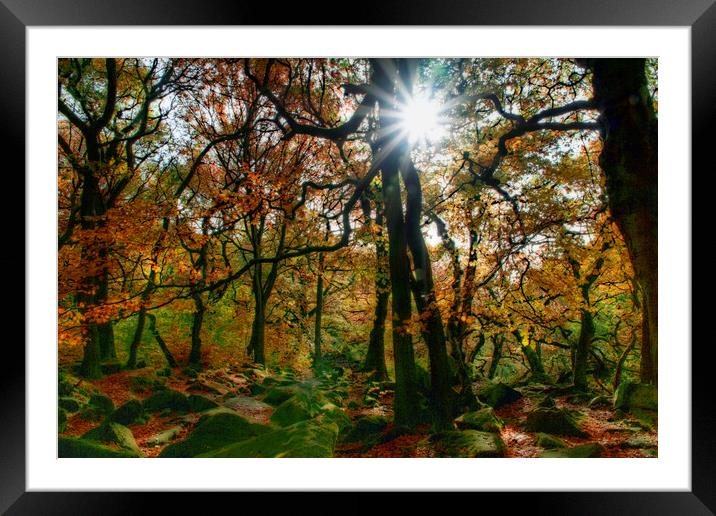 Padley Gorge Starburst Sun Framed Mounted Print by Alison Chambers