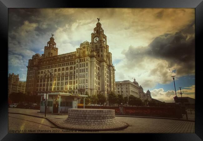 Liverpool Royal Liver Building Framed Print by Alison Chambers