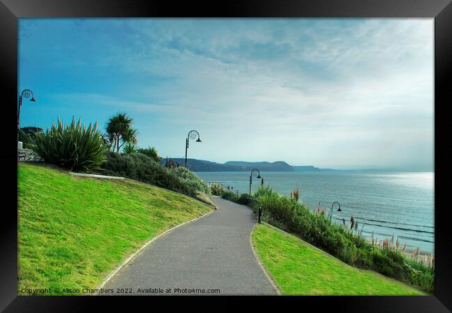 Lyme Regis Dorset Framed Print by Alison Chambers