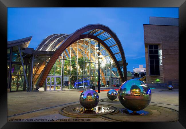 Sheffield Winter Gardens Framed Print by Alison Chambers