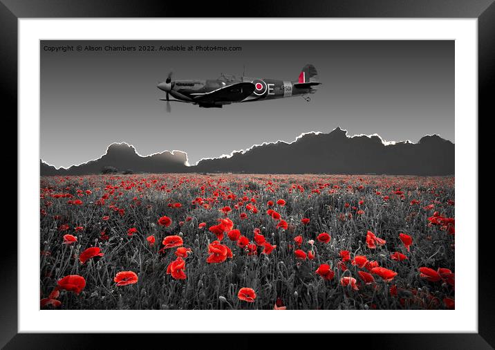 Spitfire Poppy Field Framed Mounted Print by Alison Chambers