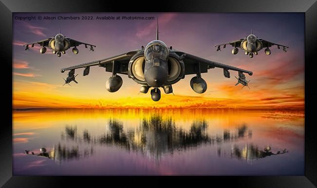 Harrier Jump Jets Framed Print by Alison Chambers