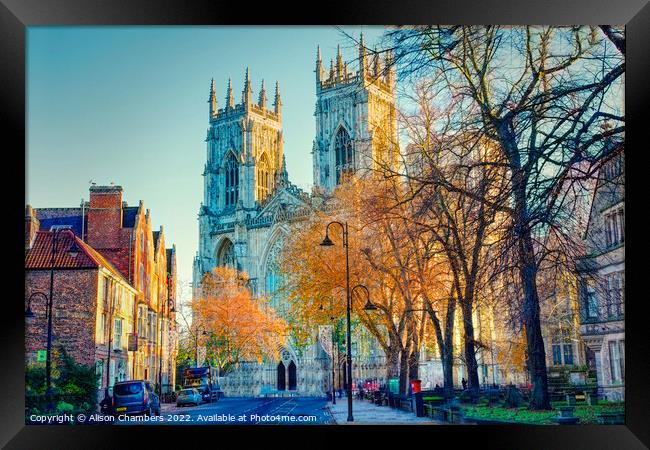 York Minster in Autumn  Framed Print by Alison Chambers