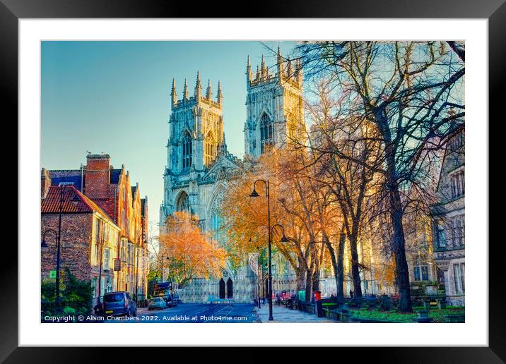 York Minster in Autumn  Framed Mounted Print by Alison Chambers