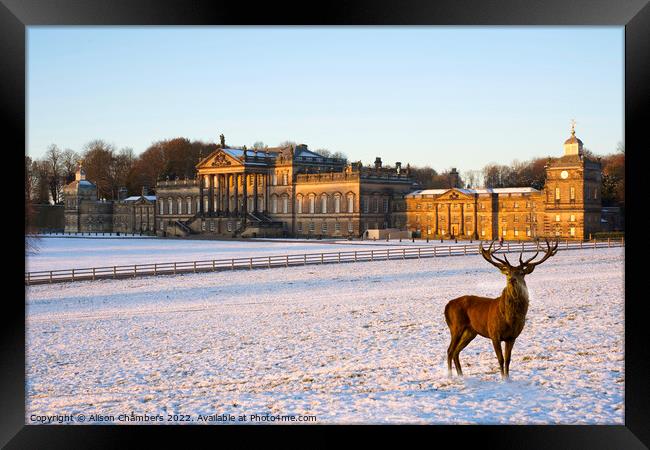 Wentworth Woodhouse  Framed Print by Alison Chambers
