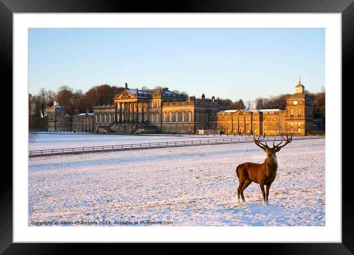 Wentworth Woodhouse  Framed Mounted Print by Alison Chambers
