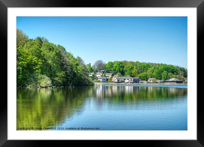 Newmillerdam Wakefield  Framed Mounted Print by Alison Chambers