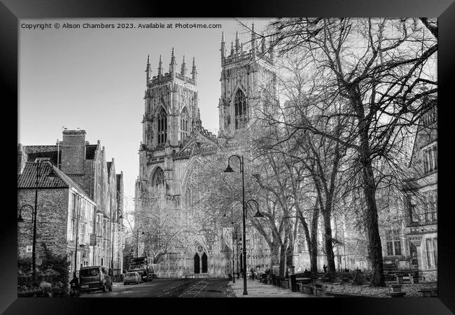 York Minster  Framed Print by Alison Chambers