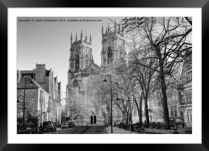 York Minster  Framed Mounted Print by Alison Chambers