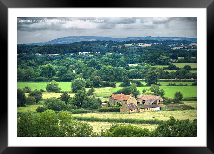 Somerset Landscape  Framed Mounted Print by Alison Chambers