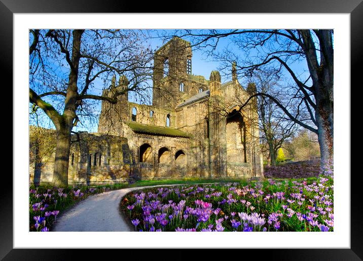Kirkstall Abbey  Framed Mounted Print by Alison Chambers
