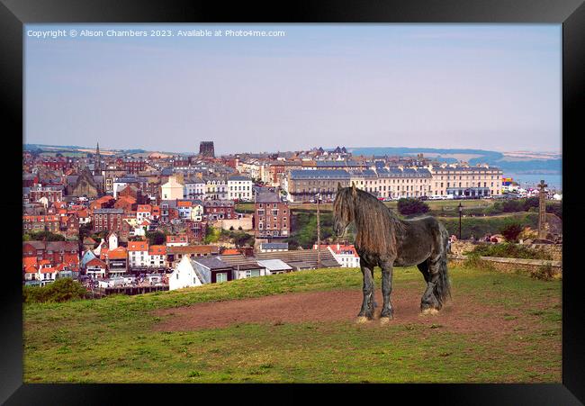 Whitby Framed Print by Alison Chambers