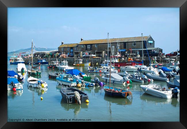 Lyme Regis Framed Print by Alison Chambers