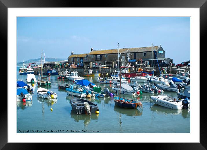Lyme Regis Framed Mounted Print by Alison Chambers