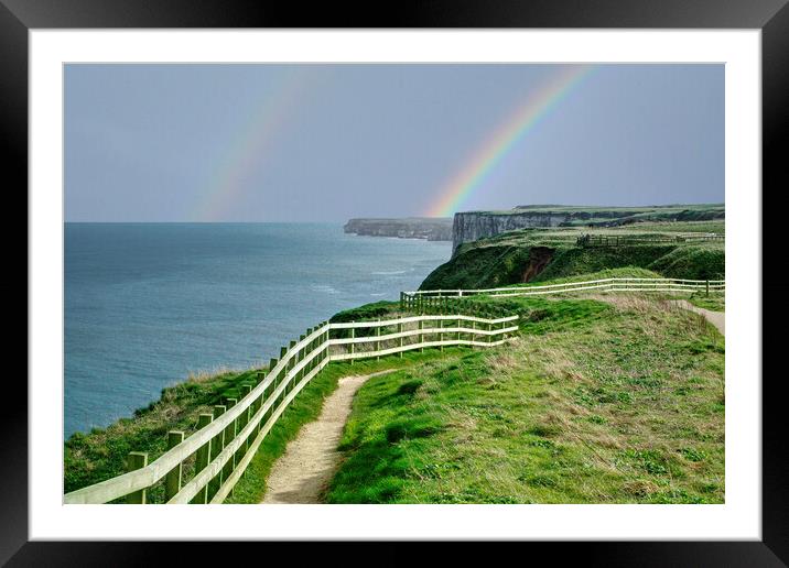 Bempton Cliffs Flamborough Framed Mounted Print by Alison Chambers