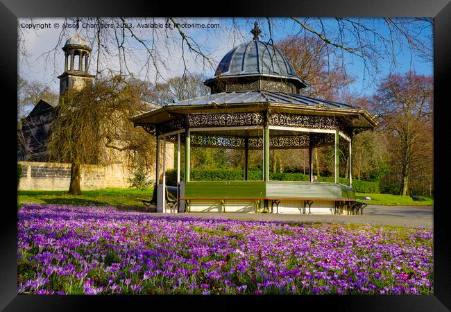 Roundhay Park Leeds Framed Print by Alison Chambers
