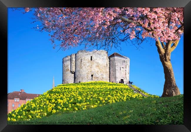 Cliffords Tower York Framed Print by Alison Chambers